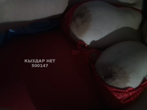 Проститутка Павлодара Девушка№500147 Твоя Амина Ждет Фотография №3761510