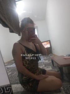 Проститутка Кызылорды Анкета №501911 Фотография №3769591