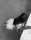 Фотография №3792594