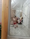Фотография №3815842