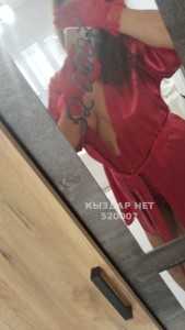 Проститутка Шымкента Анкета №520007 Фотография №3879362