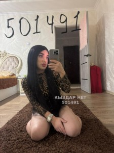 Транс Алматы Транс№501491 Алсу есть Приват Фотография №3904808