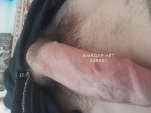 Жиголо Сатпаева Анкета №529087 Фотография №3951061