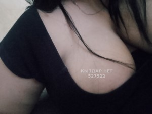 Проститутка Павлодара Анкета №527522 Фотография №3953988