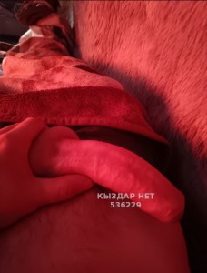 Жиголо Алматы Парень№536229 Tair Фотография №4012573