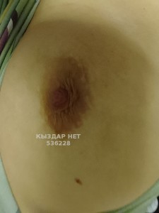 Проститутка Алматы Анкета №536228 Фотография №4012588