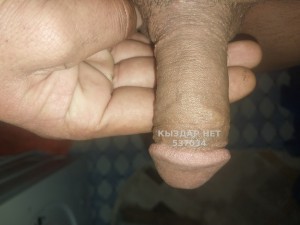 Жиголо Шымкента Парень№537034 Боря Фотография №4019463