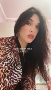 Транс Шымкента Транс№230117 Комфортная Айсана Фотография №4025574