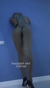 Проститутка Алматы Анкета №536739 Фотография №4026173